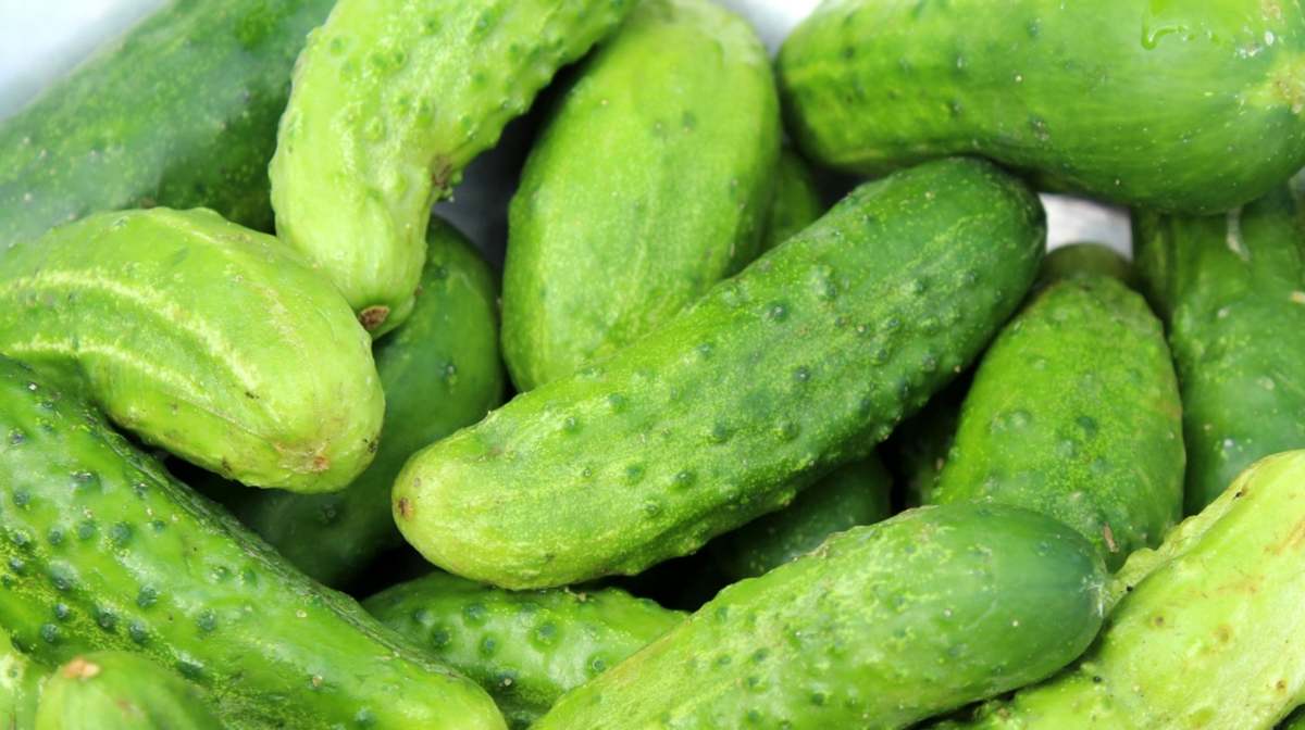 ogórki