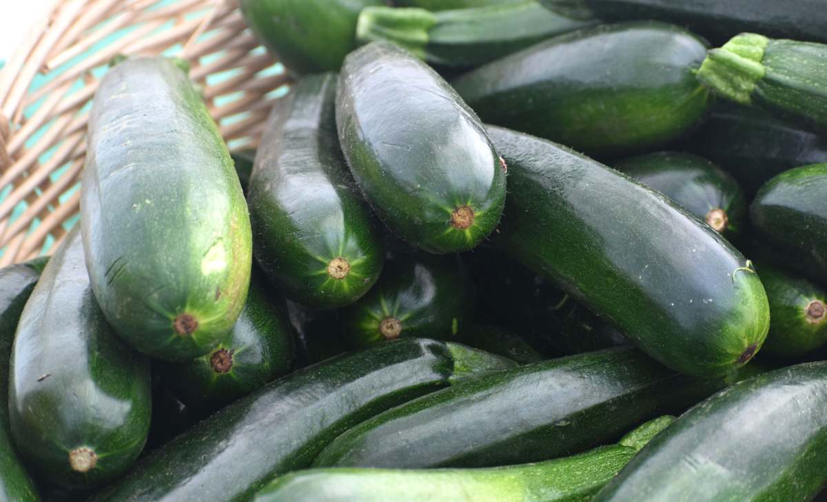cukinia