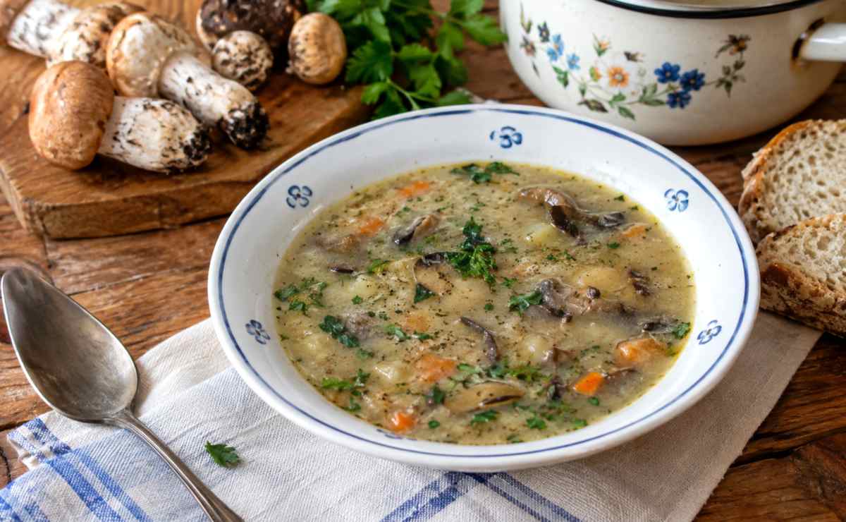zupa grzybowa